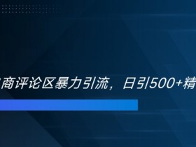 双十一电商评论区暴力引流，日引500+精准创业粉【揭秘】-天天学吧