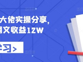 小说推文大佬实操分享，悟空网文收益12W-天天学吧