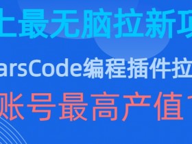 豆包MarsCode编程插件拉新玩法，史上最无脑的拉新项目，单账号最高产值1w-天天学吧