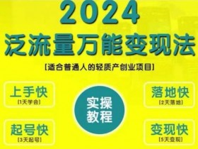 创业变现教学，2024泛流量万能变现法，适合普通人的轻质产创业项目-天天学吧