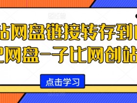 网站网盘链接转存到自己网盘-子比网创站-天天学吧