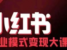 小红书商业模式变现线下大课，11位博主操盘手联合同台分享，录音+字幕-天天学吧