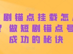 短剧锚点挂载怎么做？做短剧锚点号必成功的秘诀-天天学吧