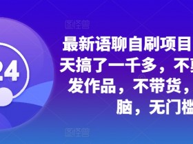 最新语聊自刷项目，亲测3天搞了一千多，不剪辑，不发作品，不带货，简单无脑，无门槛-天天学吧