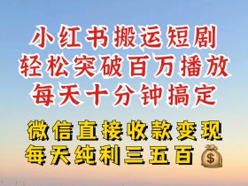 小红书搬运热门短剧，轻松爆流百万播放，每天引流几十人，搞个大几百块真的很简单-天天学吧