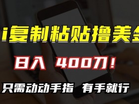 AI复制粘贴撸美金，日入400，只需动动手指，小白无脑操作【揭秘】-天天学吧