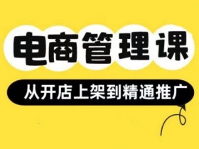 小红书&闲鱼开店从开店上架到精通推广，电商管理课-天天学吧