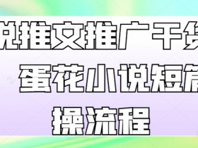 小说推文推广干货分享，蛋花小说短篇实操流程-天天学吧