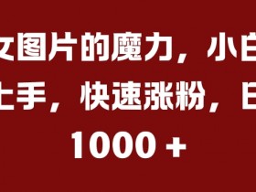 美女图片的魔力，小白轻松上手，快速涨粉，日入几张【揭秘】-天天学吧