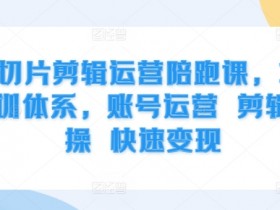 IP切片剪辑运营陪跑课，3大培训体系，账号运营 剪辑实操 快速变现-天天学吧