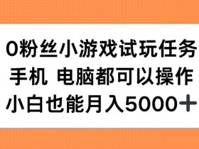 0粉丝小游戏试玩任务，手机电脑都可以操作，小白也能月入5000+【揭秘】-天天学吧