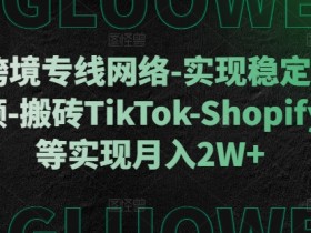 利用跨境专线网络-实现稳定直播-刷视频-搬砖TikTok-Shopify-FB等实现月入2W+【揭秘】-天天学吧