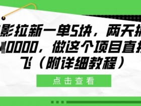 电影拉新一单5块，两天搞了近1个W，做这个项目直接起飞(附详细教程)【揭秘】-天天学吧