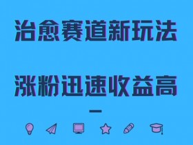 治愈赛道新玩法，治愈文案结合奶奶形象，涨粉迅速收益高【揭秘】-天天学吧