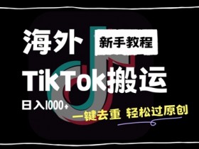 2024最新海外TikTok搬运玩法，一键去重轻松过原创，新手无经验也能日入1k【揭秘】-天天学吧