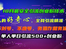 10月最安全引流创业粉技术，利用他人的好奇心全网引流精准“求带粉”不封号、不废号【揭秘】-天天学吧