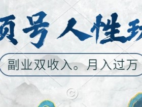 视频号人性玩法，让你起号，广告双份收入，副业好选择【揭秘】-天天学吧