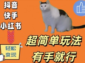 超简单玩法，有手就行，靠猫咪视频日入500+【揭秘】-天天学吧