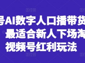 视频号AI数字人口播带货风口项目，最适合新人下场淘金的视频号红利玩法-天天学吧