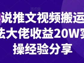 小说推文视频搬运玩法大佬收益20W实操经验分享-天天学吧