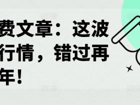 某付费文章：这波改命行情，错过再等十年!-天天学吧