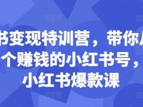 小红书变现特训营，带你从0到1做一个赚钱的小红书号，24堂小红书爆款课-天天学吧