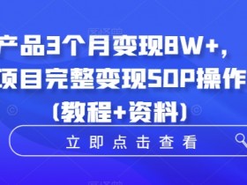 虚拟产品3个月变现8W+，小学教辅项目完整变现SOP操作教程(教程+资料)-天天学吧