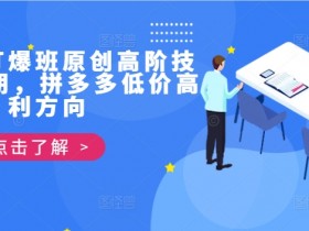 拼多多打爆班原创高阶技术第39期，拼多多低价高利方向-天天学吧