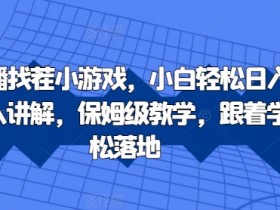 抖音直播找茬小游戏，小白轻松日入1k，需要真人讲解，保姆级教学，跟着学，轻松落地【揭秘】-天天学吧