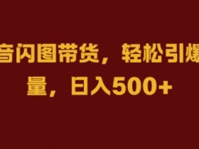 抖音闪图带货，轻松引爆流量，日入几张【揭秘】-天天学吧