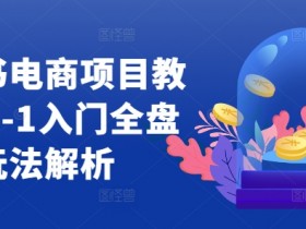 小红书电商项目教程，0-1入门全盘玩法解析-天天学吧