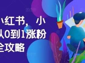 掘金小红书，小红书从0到1涨粉变现全攻略-天天学吧