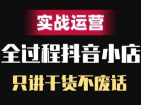 抖音小店精细化实战运营，只讲干货不废话-天天学吧