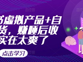 小红书虚拟产品+自动发货，赚睡后收入实在太爽了-天天学吧