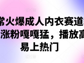 非常火爆成人内衣赛道教学，​涨粉嘎嘎猛，播放高，易上热门-天天学吧