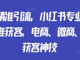 矩阵精准引流，小红书专业号矩阵精准获客，电商、微商、门店获客神技-天天学吧