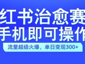 小红书治愈视频赛道，手机即可操作，流量超级火爆，单日变现300+【揭秘】-天天学吧