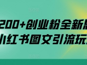 日引200+创业粉全新思路，小红书图文引流玩法【揭秘】-天天学吧