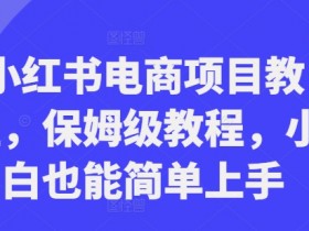 小红书电商项目教程，保姆级教程，小白也能简单上手-天天学吧