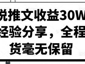 小说推文收益30W大佬经验分享，全程干货毫无保留-天天学吧