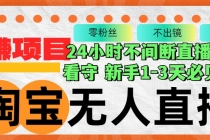 淘宝无人直播3.0，不违规不封号，轻松月入3W+，长期稳定-天天学吧