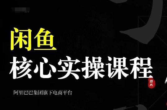 图片[1]-2024闲鱼核心实操课程，从养号、选品、发布、销售，教你做一个出单的闲鱼号-天天学吧