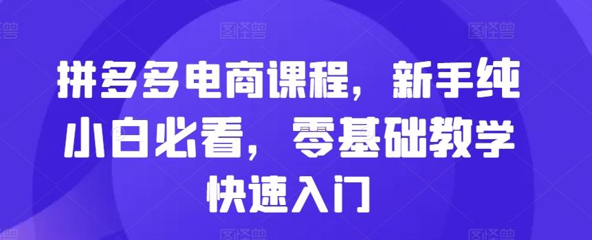 图片[1]-拼多多电商课程，新手纯小白必看，零基础教学快速入门-天天学吧