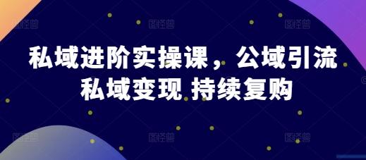 图片[1]-私域进阶实操课，公域引流 私域变现 持续复购-天天学吧