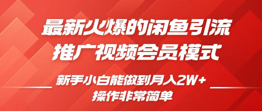 图片[1]-闲鱼引流推广影视会员，0成本就可以操作，新手小白月入过W+【揭秘】-天天学吧