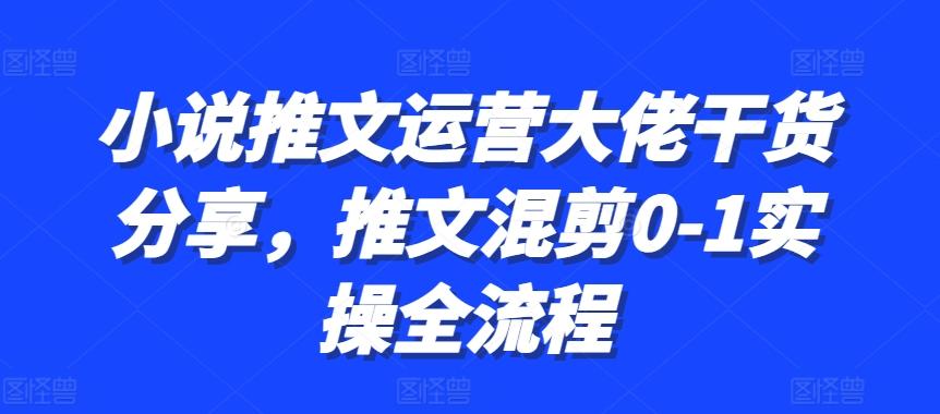 图片[1]-小说推文运营大佬干货分享，推文混剪0-1实操全流程-天天学吧