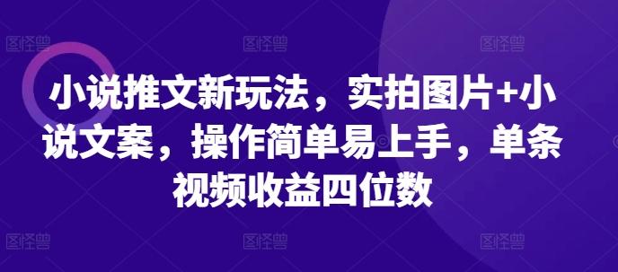 图片[1]-小说推文新玩法，实拍图片+小说文案，操作简单易上手，单条视频收益四位数-天天学吧