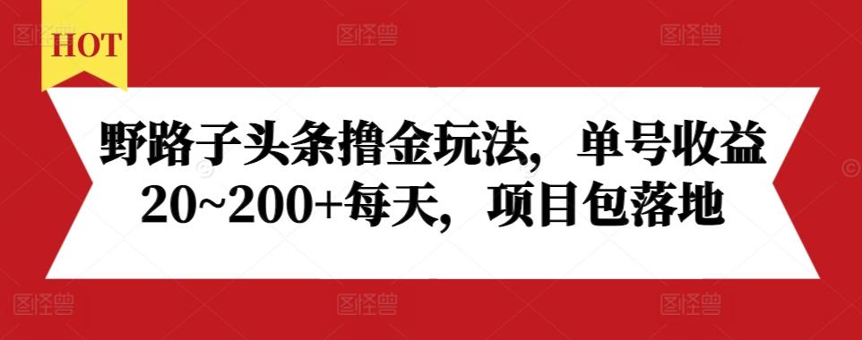 图片[1]-野路子头条撸金玩法，单号收益20~200+每天，项目包落地-天天学吧