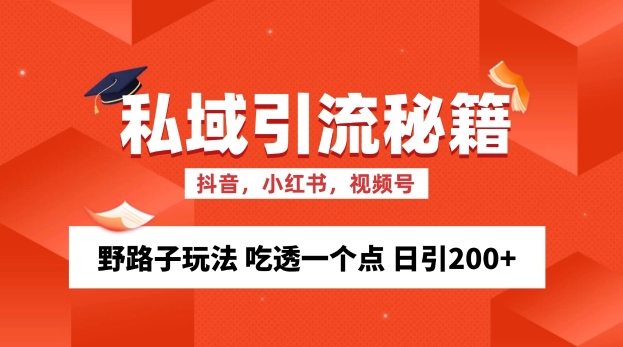 私域流量的精准化获客方法 野路子玩法 吃透一个点 日引200+-天天学吧