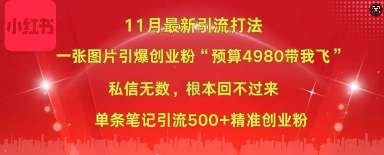 小红书11月最新图片打粉，一张图片引爆创业粉，“预算4980带我飞”，单条引流500+精准创业粉-天天学吧